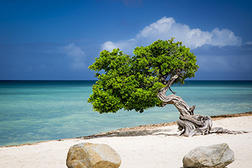 阿魯巴雷納－比特里克斯機(jī)場三字代碼(AUA),雷納－比特里克斯機(jī)場(Reina Beatrix Airport)四字碼,阿魯巴機(jī)場三字碼查詢