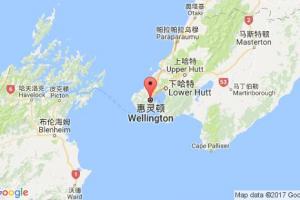 惠靈頓港口查詢_wellington港口代